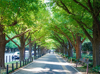 Jingu Gaien