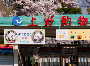 Ueno Zoo