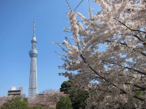 新宿高速バスターミナルからすぐのかどやホテルは春休み家族旅行を応援