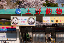 東京観光・家族旅行におすすめ！上野動物園までの行き方編。新宿かどやホテル