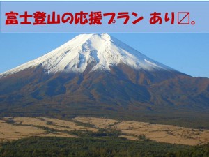 富士山が世界遺産に登録されました！高速バス乗り場からすぐ新宿かどやホテル