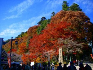 高尾山へアクセス簡単！新宿発！！秋の紅葉を見に行こう