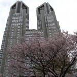 新宿で桜・お花見をするなら、新宿中央公園？新宿御苑？桜の見頃はいつ？