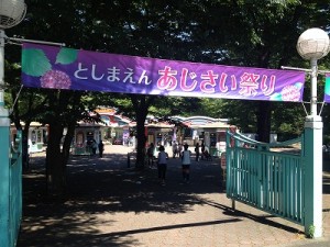 【東京 街散歩】としまえんで“あじさい祭り”が開催中！新宿駅西口かどやホテルから電車で１本。