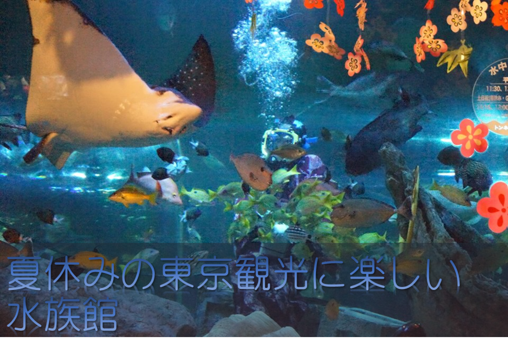 子連れに最適！東京観光案内、品川のしながわ水族館 | 新宿のホテルなら新宿駅西口徒歩3分のビジネスホテル【かどやホテル】