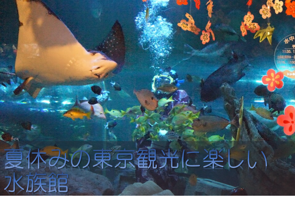 子連れに最適！東京観光案内、品川のしながわ水族館