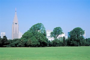 新宿西口かどやホテル　新宿周辺の観光スポットのご案内