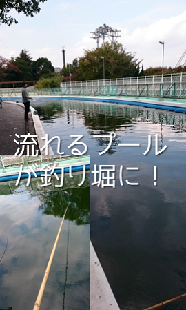 東京の遊び場 としまえん流れるプールが巨大釣り堀に 新宿のホテルなら新宿駅西口徒歩3分のビジネスホテル かどやホテル