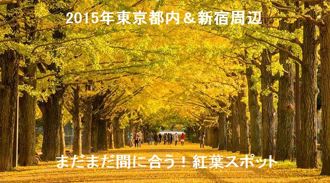 まだまだ間に合う！東京都内＆新宿周辺で見られる紅葉スポット