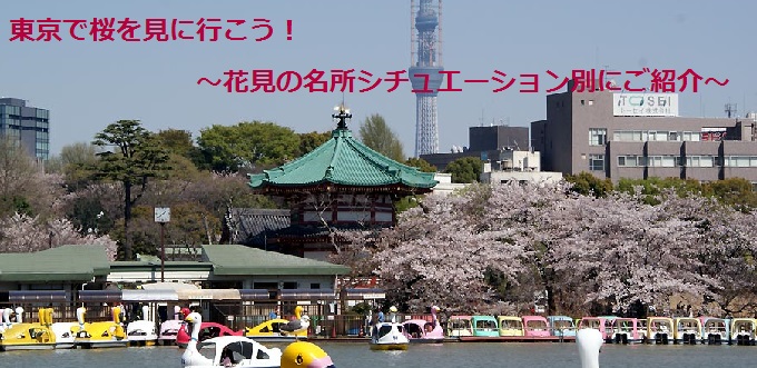 新宿から行く、おすすめ桜の名所❀みんなで♪友達と♪デートで♪桜を見に行こう
